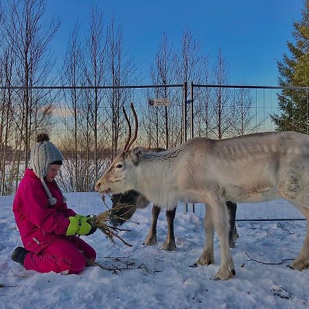 Beautiful Rural Experience With Reindeer Villa Tervola Екстериор снимка