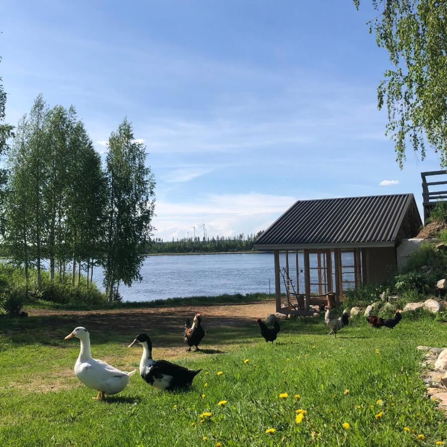 Beautiful Rural Experience With Reindeer Villa Tervola Екстериор снимка