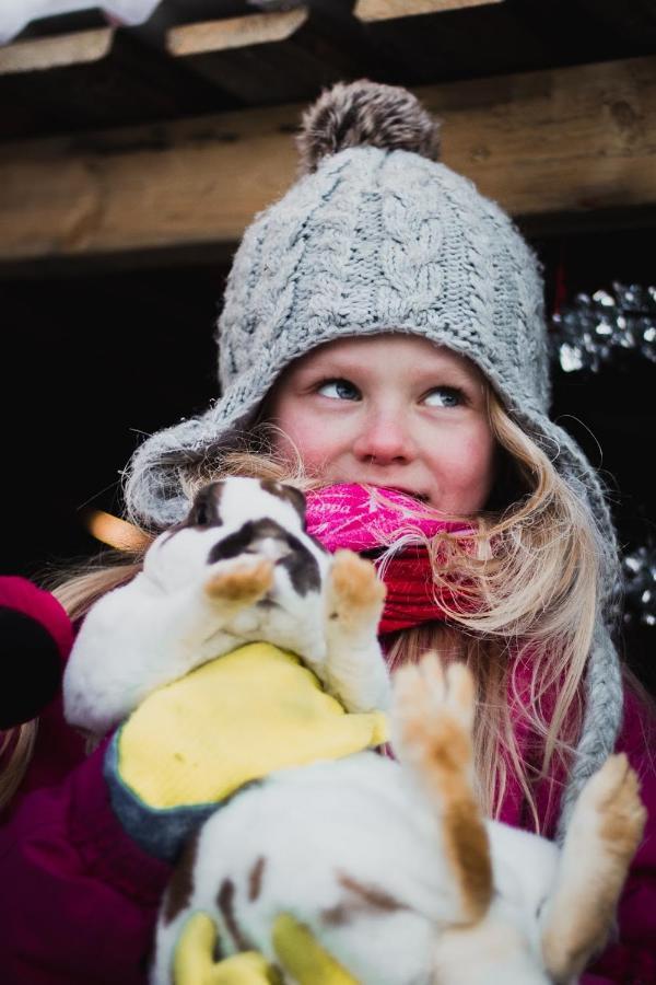 Beautiful Rural Experience With Reindeer Villa Tervola Екстериор снимка
